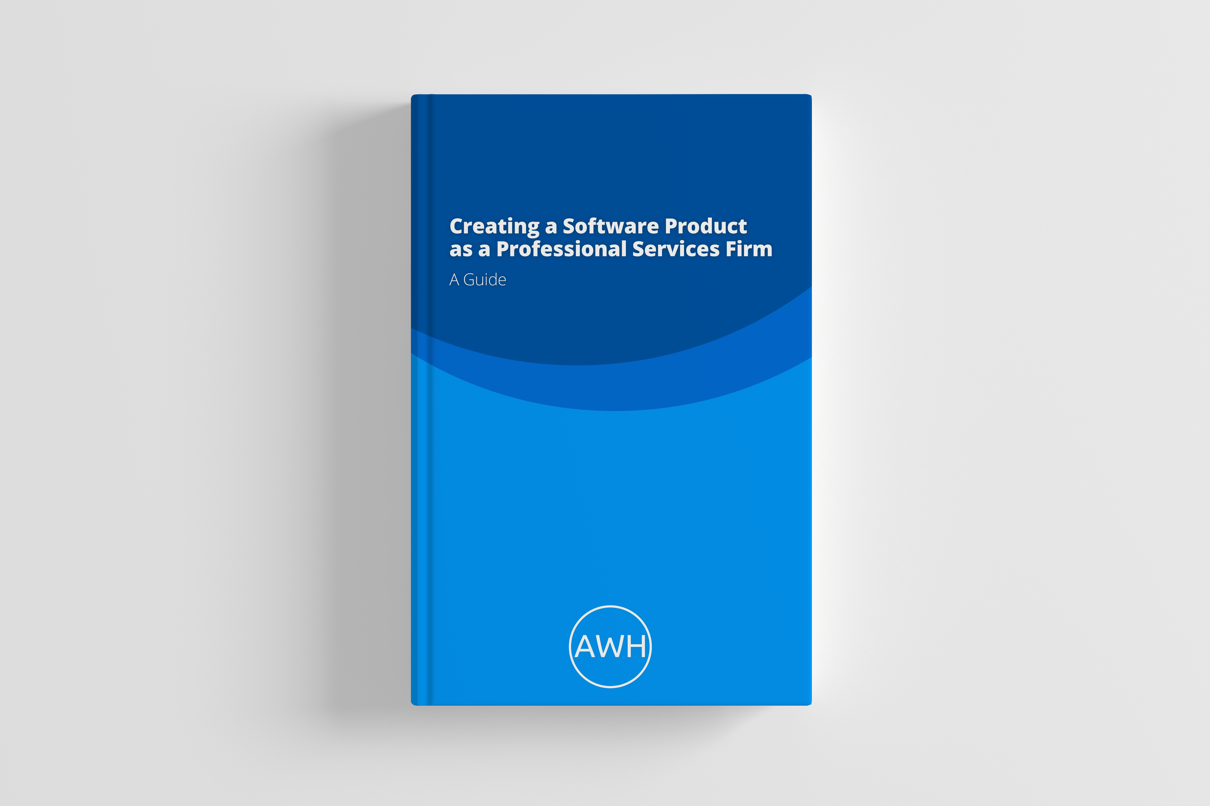 Ebook cover  for creating a software project as a professional services firm